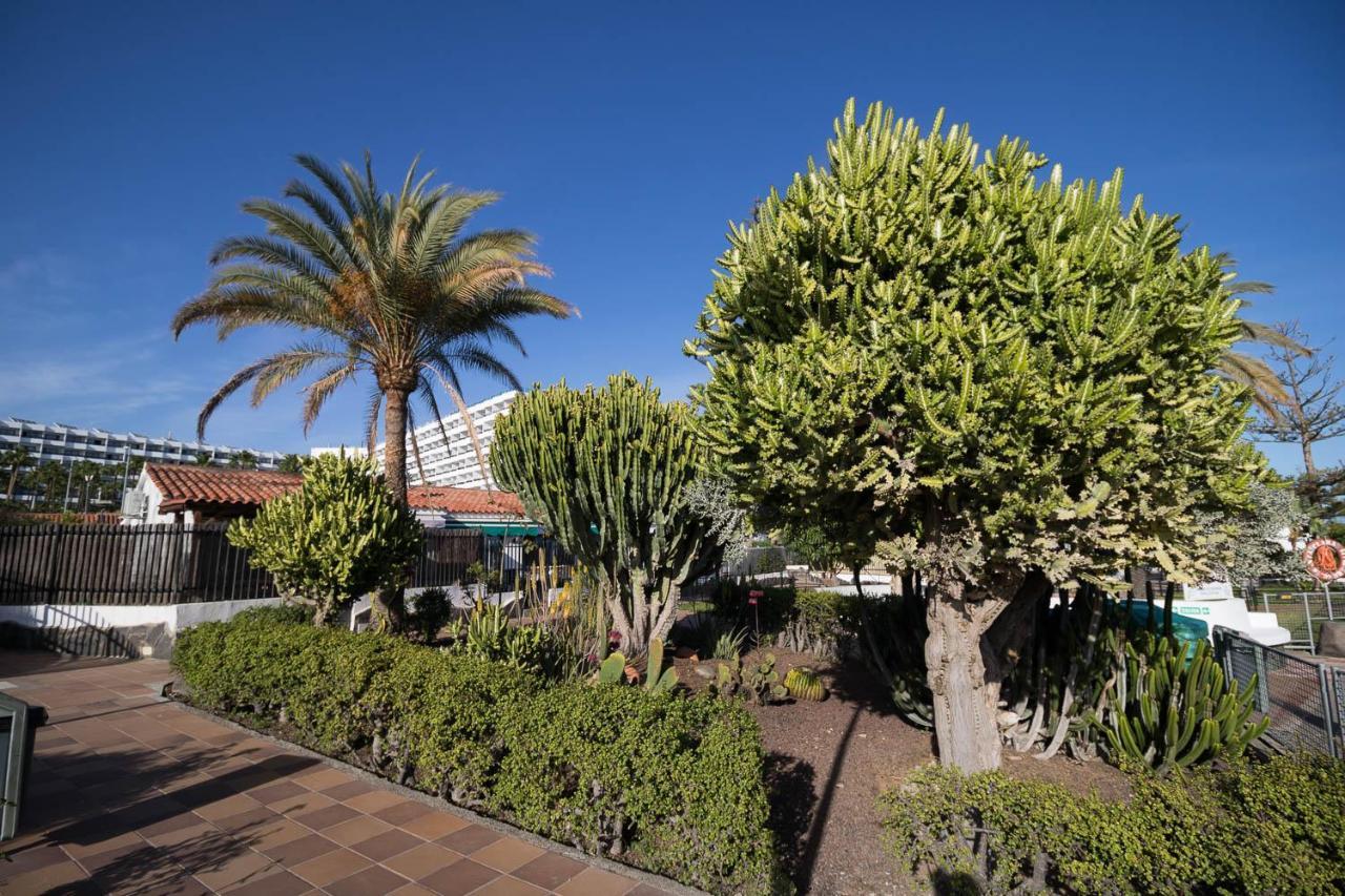 Sunset Bungalow San Bartolomé Dış mekan fotoğraf
